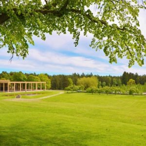 natur, grass, summer, nature, green, spring, park, garden, landscape, tree, natural